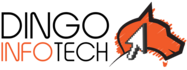 dingoinfotech.com